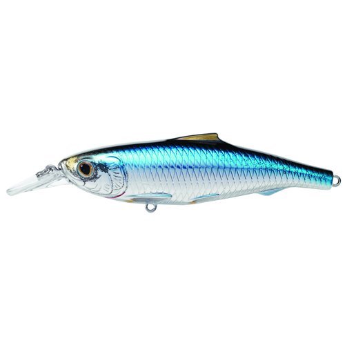 Livetarget Spanish Sardine Jerkbait