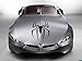 Car Hood Vinyl Sticker Decal Graphics Super Hero Web Famous Spider SL71 (17x23)