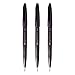 Pentel Fude Touch Brush Sign Pen (SES15C-A), Black Ink, Felt Pen Like Brush Stroke, Value Set of 3