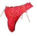 aishani Men's Silky Lace Thong Pouch Panties Briefs Bikini Underwear,5X-L Red