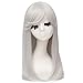 netgo Long Straight Silver White Anime Cosplay Wigs for Women Halloween Costume Wigs Heat Resistant 20