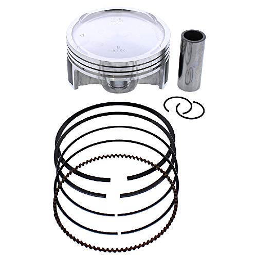 image for New Vertex compatible withged Replica Piston Kit 24266B compatible wit