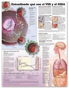 AWW 9781587799945 Understanding Hiv &amp; Aids Spanish 20X26 Lam