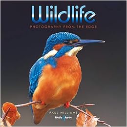 Image result for wildlife photography paul williams