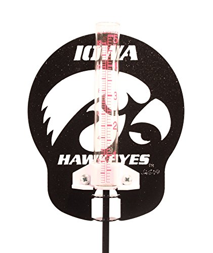 SWEN Products IOWA HAWKEYE HAWKEYES Rain Gauge