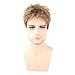 Kalyss Men's Short Straight Brown Wig Heat Resistant Synthetic Hair Wigs with Hair Bangs