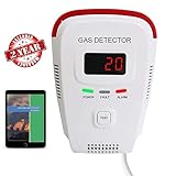 Propane / Natural Gas Detector