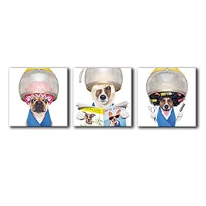 signwin-3 Piece Canvas Wall Art-Funny Animals-Canvas Prints Home...