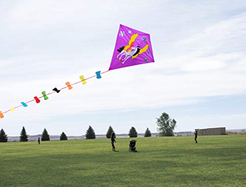 Zhuoyue Diamond Kite for Kids and Adults, Single Line Easy to Fly Beginner Kite with Long Tail,Funny and Ripstop Fabric Outdoor Toys - Thumbnail 2