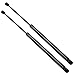 Maxpow Rear Liftgate Lift Supports Tailgate Struts Hatch Shocks Replacement for Santa Fe 2001-2006 2002 2003 2004 2005 Tail Gate Lift Gas Struts, 6109