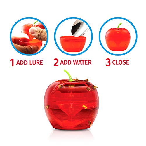 Fruit Fly Traps for Indoors by Raid 2 Lures + 2 Refills Effective