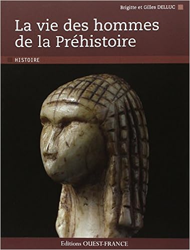 Amazon Fr La Vie Des Hommes De La Prehistoire Delluc Brigitte Delluc Gilles Vialou Denis Livres