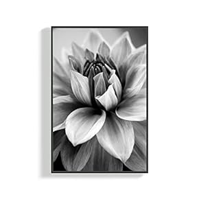 SIGNFORD Canvas Wall Art for Living Room, Bedroom...