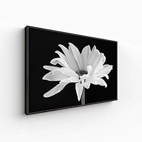 Canvas Wall Art for Living Room, Bedroom Monochrome Plants Framed Canvas Prints for Home Decoration Ready to Hang - 16x24 inches
