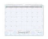 Blue Sky Charlotte 15 x 12 Monthly Wall Calendar, 2017