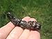 Brass Phallic Phallus Lion Scorpion Amulet Talisman Paladkik Good Luck Charm Pendant Thailand Buddhist A14