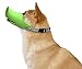 Anti Bite Dog Silicone Mask Muzzles for Biting Chewing,iMichelle Dog Anti Biting/Barking Muzzle Funny Pig Mouth Shape Puppy Muzzles Masks for Small Dog Chihuahua Corgi Dachshund Shih tzu Teddy (S)
