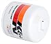 K&N HP-2010 Performance Wrench-Off Oil Filter primary