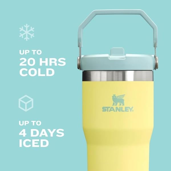 STANLEY ICEFLOW 2.0 FLIP STRAW TUMBLER WITH HANDLE 20 OZ | TWIST ON LID AND FLIP UP STRAW | LEAK RESISTANT WATER BOTTLE | INSULATED STAINLESS STEEL | BPA-FREE | ROSE QUARTZ