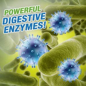Concentrated Liquid Bacterial ENZYMES - Breaks Down Grease, Paper,Fat & Oil in Drain Lines, Sewer Lines, Septic Tanks, Grease Traps, RV & Boat Tanks & More! Controls Foul Sewer Odors! (1 Gallon)