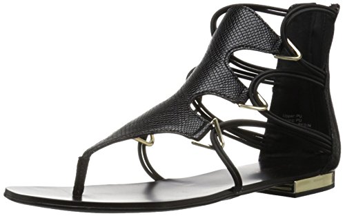 aldo gladiator
