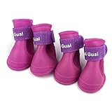 2018 New COPPEN Clearance！Dog Cat Candy Colors