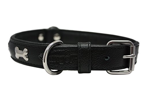 Leather "Bones" Dog Collar, Padded, Double-Ply,  Riveted Settings, 22" x 1", Black, Leather (Rotterdam Bones) Neck Size: 16.5" - 20"