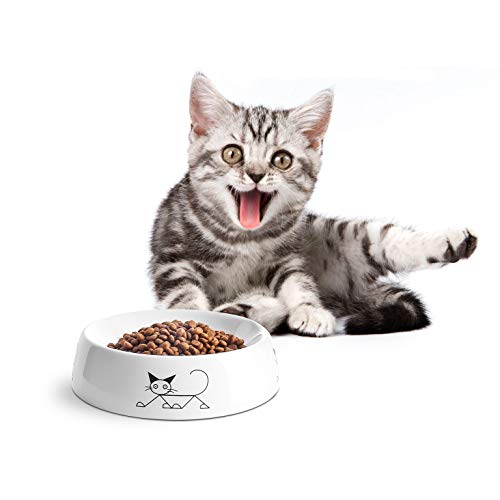 Y YHY Ceramic Cat Food Bowl, Whisker Friendly, Wide Shallow Cat Food