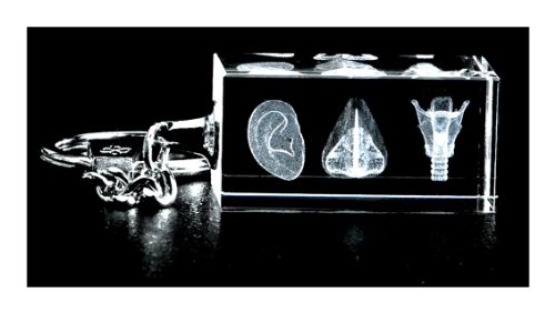 ENT Three Image 3d Laser Key Chain Crystal, Otolaryngologist Anatomy, Ear, Nose Larynx