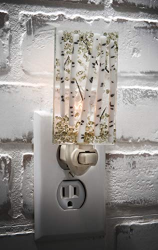 Night Light Decorative Wall Plug in Accent Lite Nightlight for Hallway Bedroom Bathroom Kitchen Fuse - //coolthings.us
