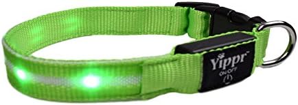 Premium LED Dog Collar By Yippr - USB Rechargeable Led Lighted Dog Collar With 4 Settings - Increase Visibility, Safety Collar, Night Use with Ultra Bright Blinking, Light Up Nylon Flashing Pet Collar