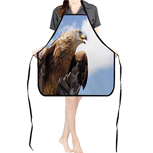 Jiahong Pan Aprons Golden Eagle Pockets And Fully Adjustable