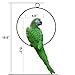 S&F Life Size Hanging Parrot Statue Like a Real Parrot Patio Lawn Ideal Decor for Nature Lovers Tropical Bird Collectors Summer Theme (Green)