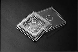 SPL LIFE SCIENCES SPL IVF Multi Well Culture Plate, PS,4 Wells, 66x66mm,TC Treated, Sterile to SAL 10-6, 4 x Sleeve Case of 120