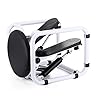 QHGao Stepper Desk Multifunctionele Mini Twist Stepping Machine, Trainer Voet Stepping Motion Cardio Oefening Machine…