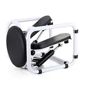 QHGao Stepper Desk Multifunctionele Mini Twist Stepping Machine, Trainer Voet Stepping Motion Cardio Oefening Machine…