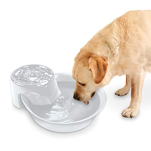 Pioneer Pet Big Max Ceramic Drinking Fountain, 128 Ounces (White) - Thumbnail 3
