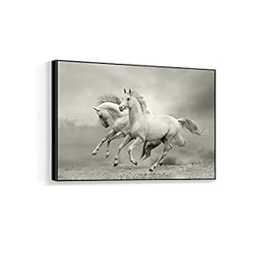 NWT Framed Canvas Wall Art for Living Room,...