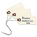 Avery 12602 Double Wired Shipping Tags, 13pt. Stock, 3 1/4 x 1 5/8, Manila (Box of 1000)