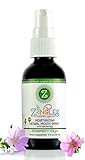 Ziingles - Natural Botanical Dry Mouth Spray Relieves Your Dry Mouth and Optimizes Your Oral Care - Refreshing Spearmint Fresh Flavor - 2 fl oz (59ml)