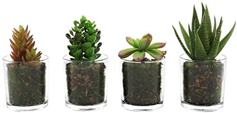 for Galaxy S8 Privacy Anti-Spy Tempered Glass Screen Protector,Timbay[Case Friendly][9H Hardness][Anti-Scratch][Bubble Free][3D Curved] Tempered Glass Screen Protector for Samsung Galaxy S8 (e60)