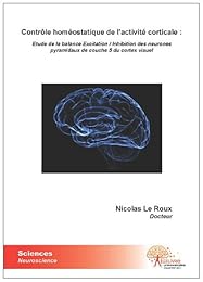 Contrôle homéostatique de l'activité corticale