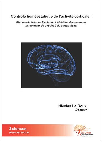 Contrôle homéostatique de l'activité corticale