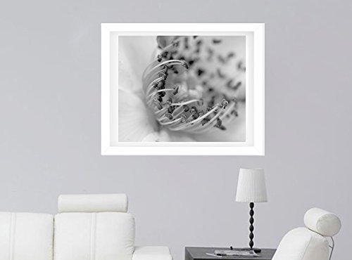 Black and White Wall Art, Flower Stamens Photography Print, Fine Art Flower Macro Photography, Floral Art Print, Abstract Wall Art Decor Picture, Botanical Print - Image 3