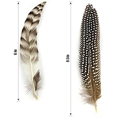 30 Pcs Natural Pheasant Feathers for DIY Craft
