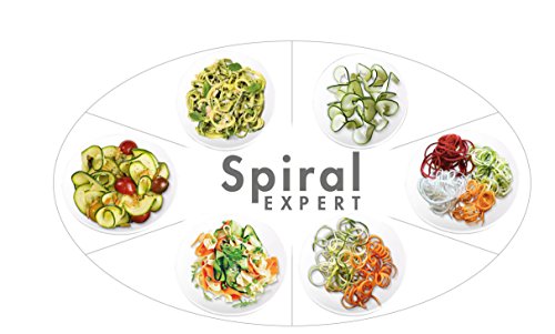 Magimix Spiral Expert 17501