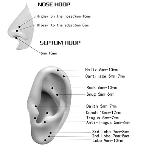 ORANGELOVE Hypoallergenic Nose Rings 20G 18G 16G 14G 12G 10G 8G 316l Surgical Steel Septum Jewelry Hinged Segment Ring Body Piercing Nose Hoop Lip Rings Nose Helix Cartilage Rook Earrings