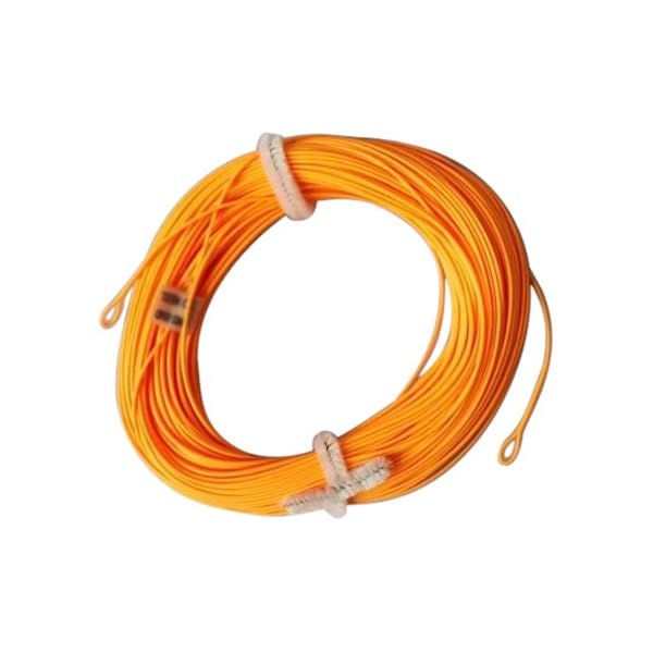 TOOGOOR-1-x-Fly-Fishing-100ft-floating-FLY-LINES-for-rod-reel-welded-loops TOOGOOR-1-x-Fly-Fishing-100ft-floating-FLY-LINES-for-rod-reel-welded-loops