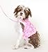 Dashin' Dogz Floral Pink Dog Harness and Matching Leash Set for XSmall and Small Breeds Like Chihuahua, Yorkys, Teacup Breeds