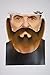 Mustaches Self Adhesive, Novelty, Nomad Fake Beard and Fake Mustache, False Facial Hair, Costume Accessory for Adults, Brown Color